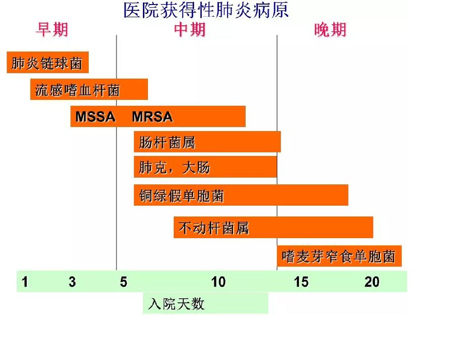 2024澳门特马今晚开什么,数据整合设计方案_R版60.186