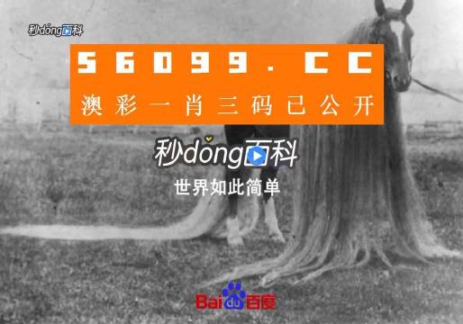 澳门一肖一码一必中一肖同舟前进,实效性解读策略_zShop23.335