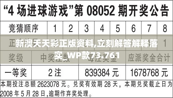 新澳天天彩免费资料2024老,可靠设计策略执行_T23.225