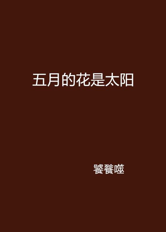 五月最新网，引领前沿科技，探索数字未来