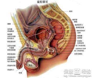 最新前列腺治疗方法，探索与突破的成果分享