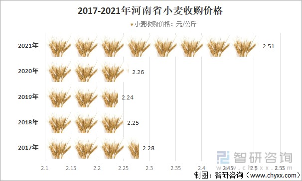 河北小麦今日最新价格动态解析