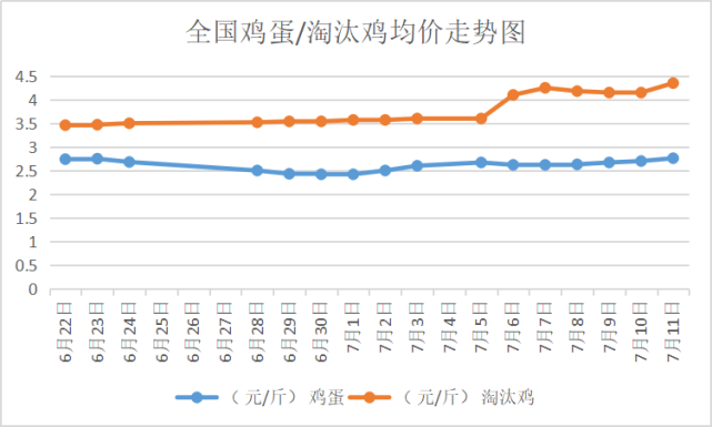 今日淘汰鸡最新价格走势及分析摘要