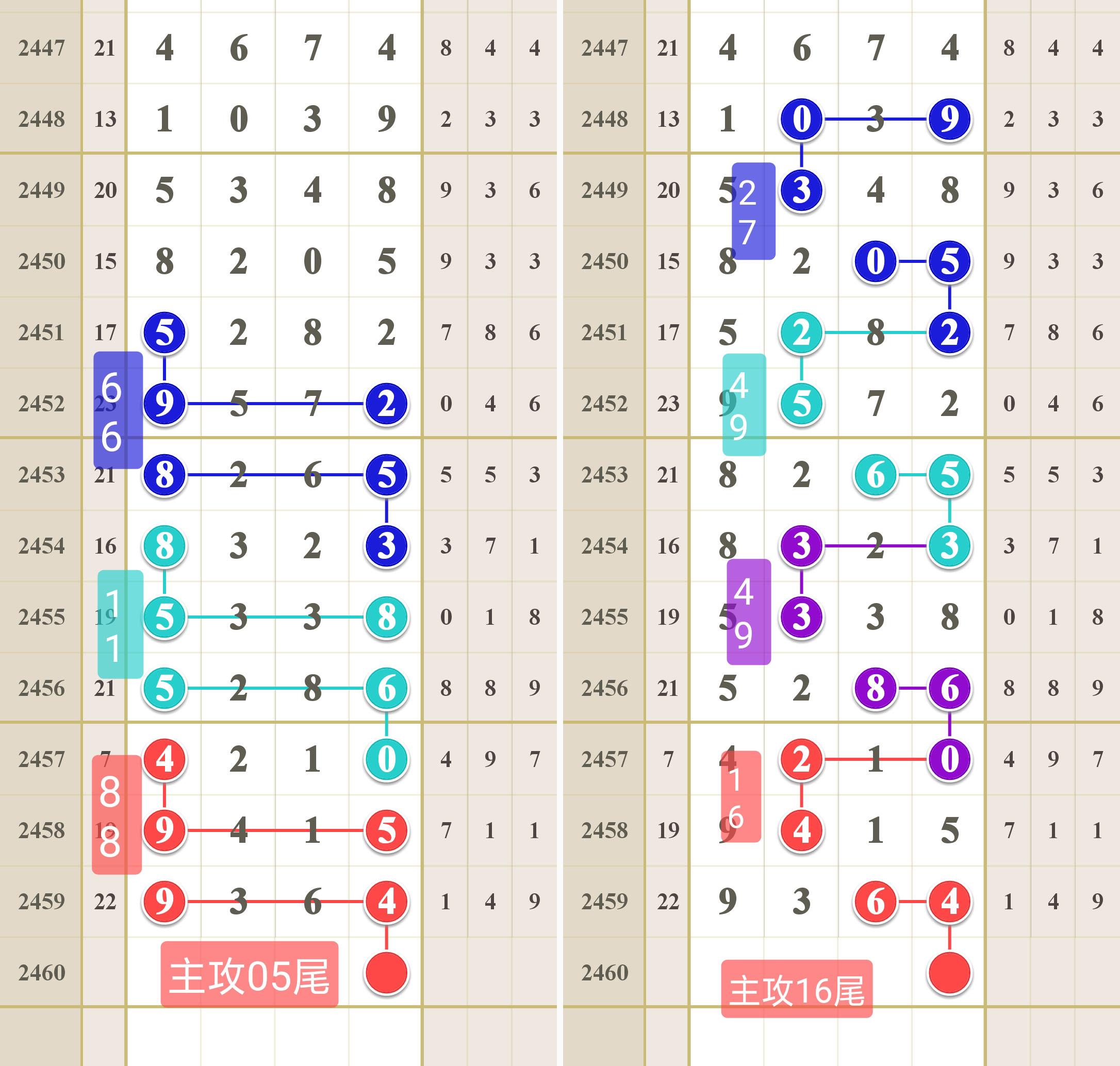 局王七星下载指南，探索与体验的新旅程