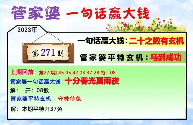 管家婆的资料一肖中特176期,准确资料解释落实_MT28.835