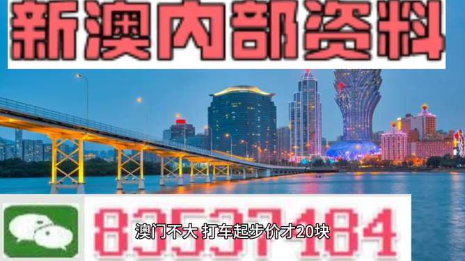 新澳门资料全年免费精准,可持续实施探索_专业款29.687