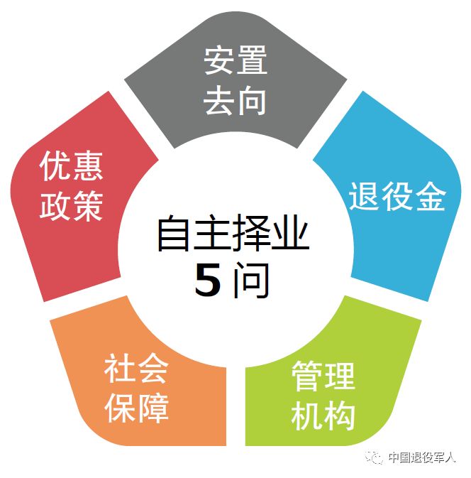 2024年12月31日 第15页